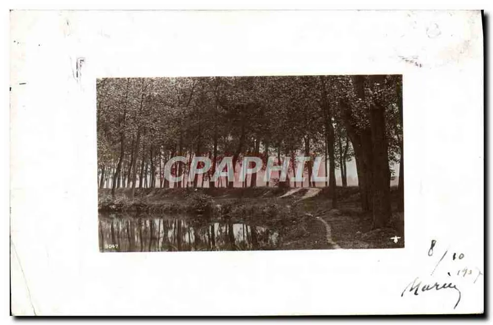 Forêt de peupliers — chemin bordant un étang — éditeur Marius, n° 3047 - Frente