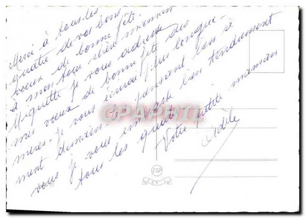 साइक्लैमेन और फूलों का बूकेट — अच्छा माँ के दिन — एडिटर अदृश्य - पीछे