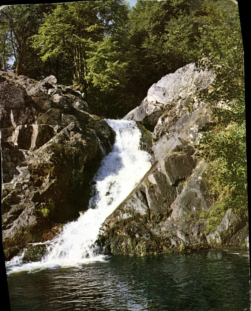 Le Morvan pittoresque — Le saut du Gouloux — Éditions du LYS, M-544 - Frente