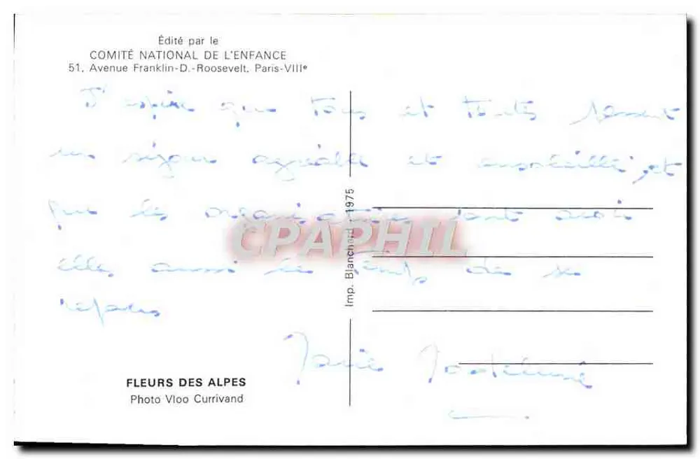 Flores das Alpes — Foto Vloo Currivand — Editado pelo Comitê Nacional da Criança - Verso