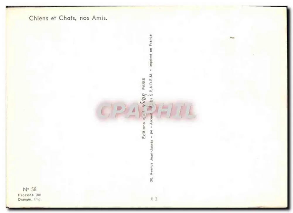 Cachorro - Cocker Spaniel - Edições Vivon - Verso