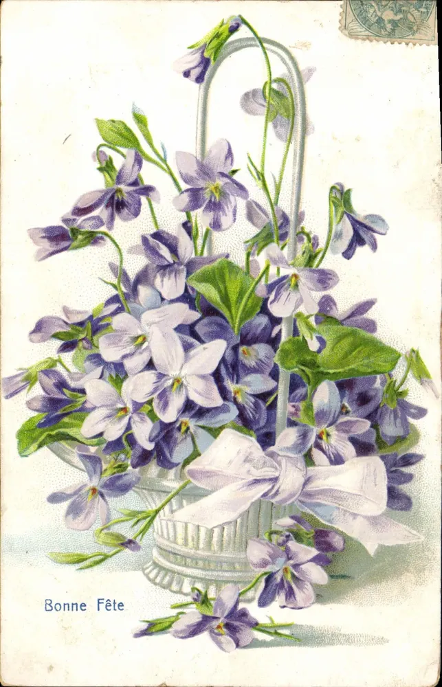 Blumenstrauß aus Violets — Frohe Geburtstagskarte — Verleger nicht sichtbar - Vorderseite