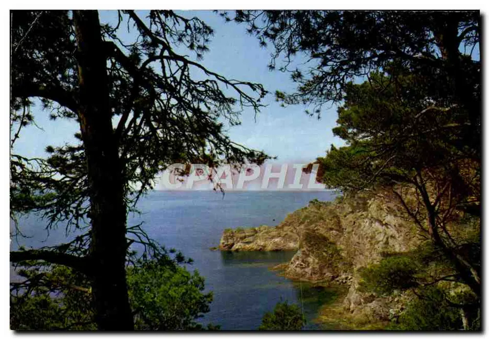 Calanque — Mittelmeer mit wolkenlosen Ufern — Éditions de France - Vorderseite