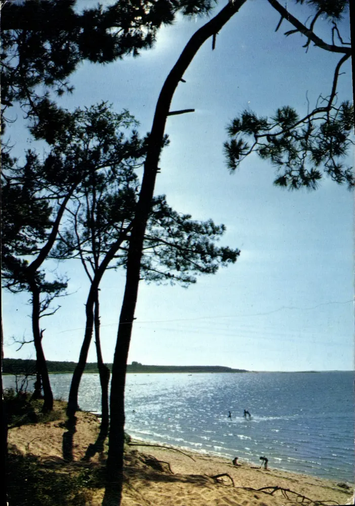 Praia de Bocquerville — vista sob os pinheiros — Cores Naturais - Frente