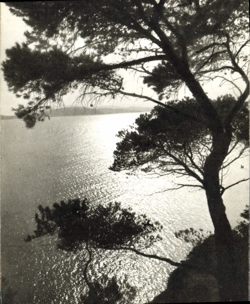 Blick aufs Meer — Dachpfeifer — Photo Pauc, N° 229 - Vorderseite