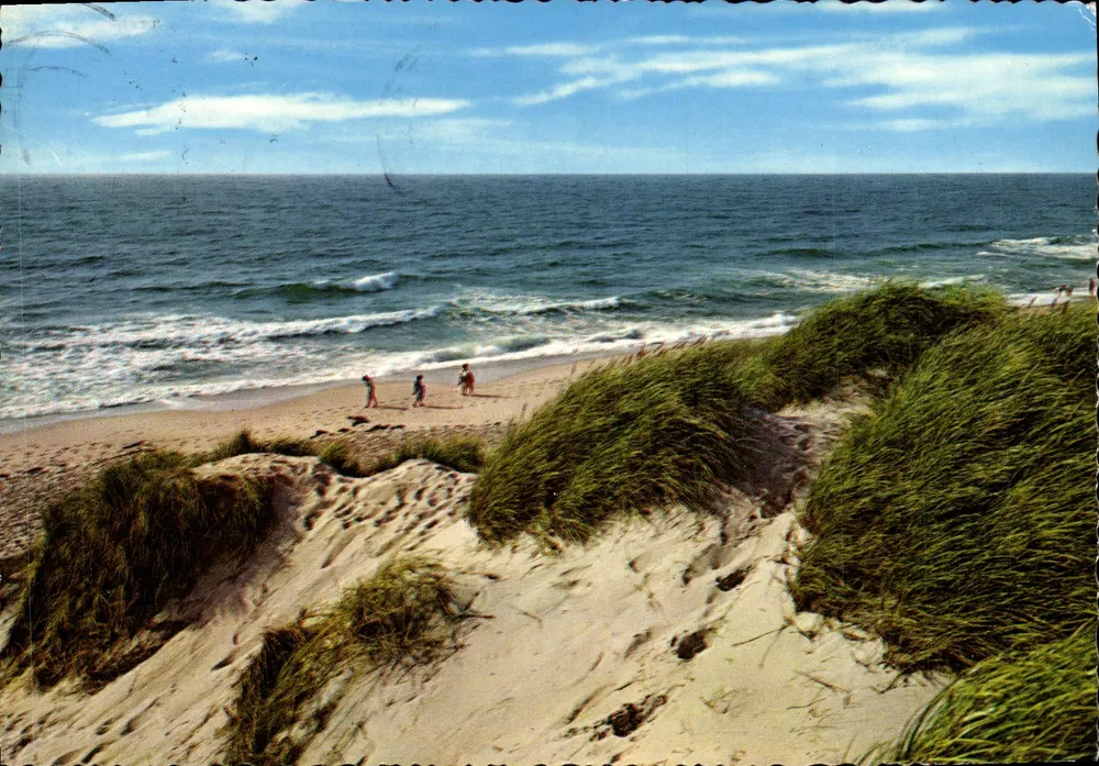 Praia de dunas — vista do mar — editor Rédacteur n° 916/58 - Frente
