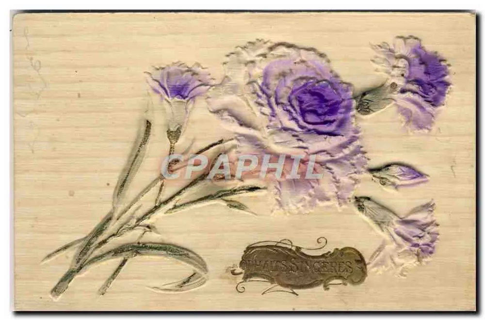 Blütenstrauß aus violetten Mohnblumen — Ausgabe von M. W. S. NICHOLS - Vorderseite