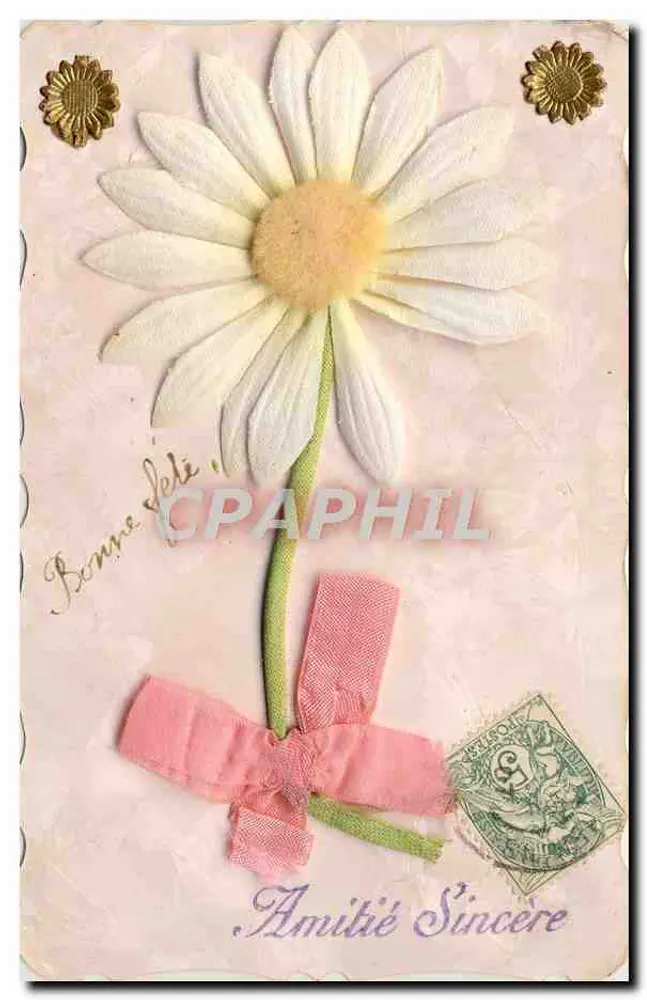 Flor de margarida — decoração têxtil - Frente