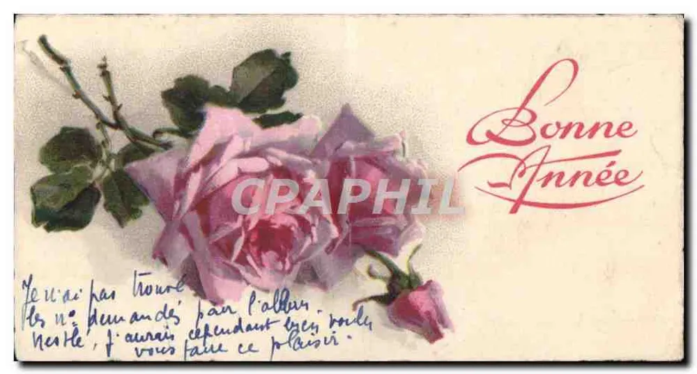 Rosa violeta — carta de boas-vindas com texto manuscrito — editor 'CPAPHIL' (impresso na carta) - Frente