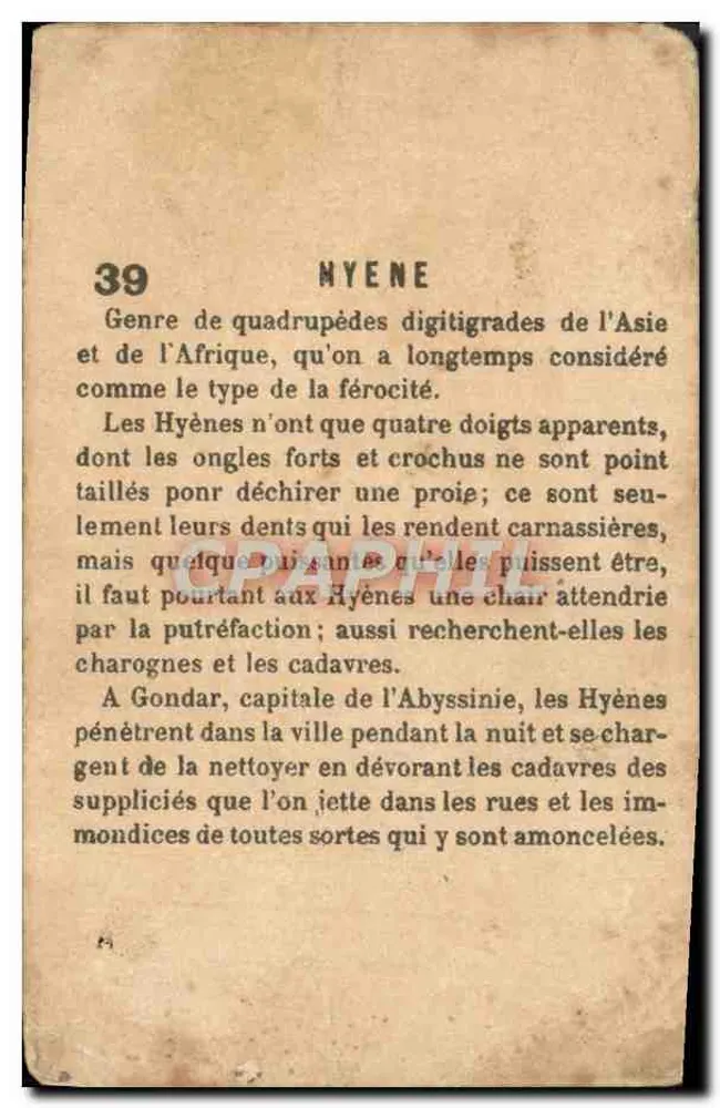 Hiena — série 39 — editor não visível - Verso