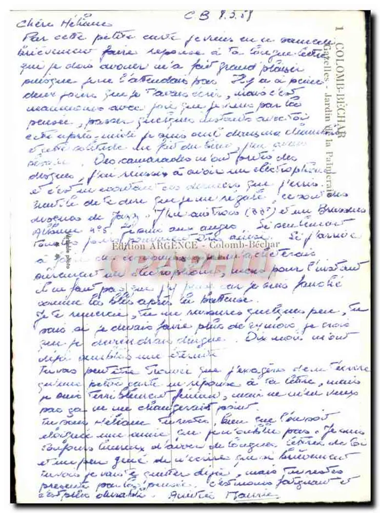 Dromedar — Verlag ARGENCE - Colomb-Béchar - Rückseite