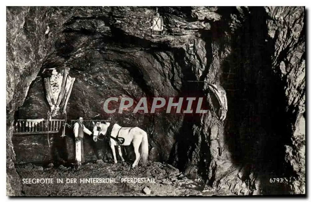 Seegrotte na Hinterbrühl — Pferdestall — editor desconhecido, n° 6793 - Frente