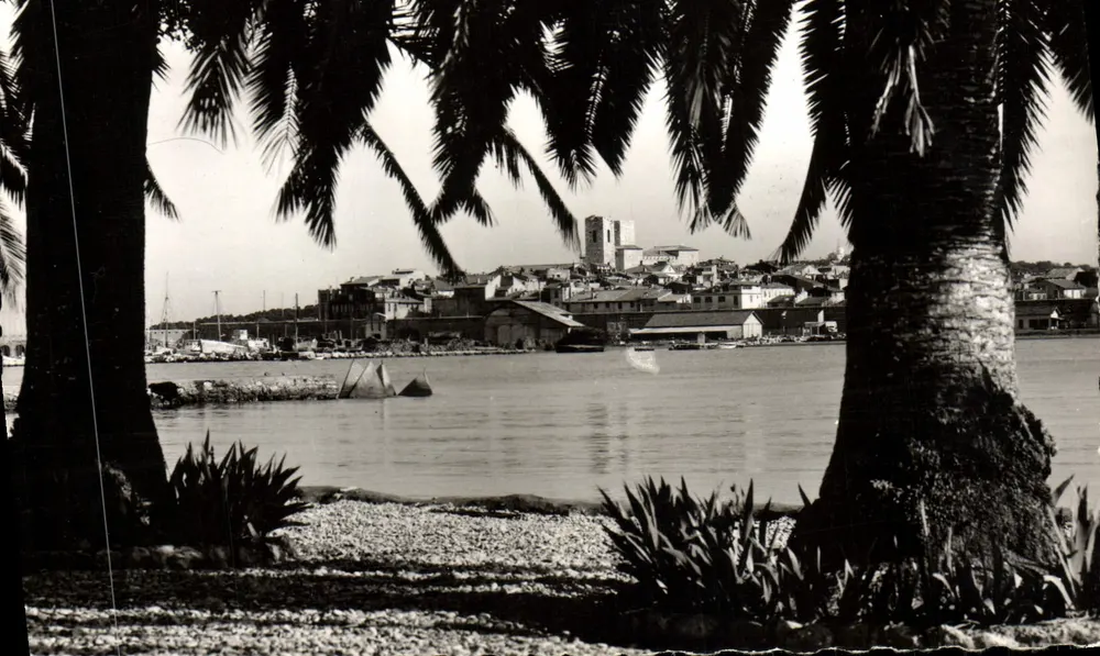 Antibes — Blick auf die Altstadt durch die Palmen — Éditions S.E.P.T. - 35, Bd des belles - NICE - Vorderseite