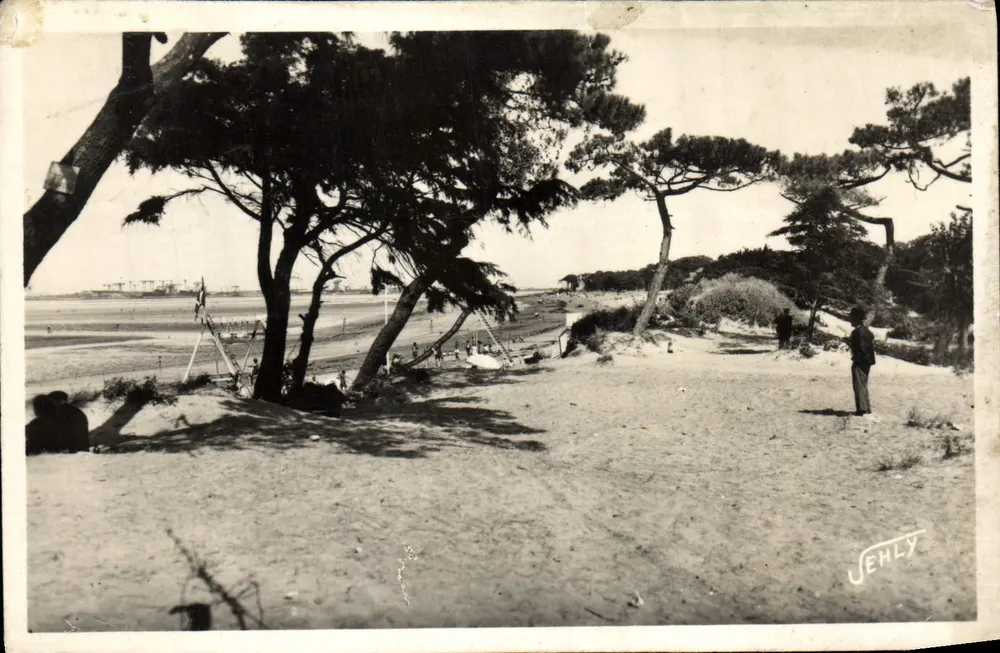 Plage de St-Brévin-les-Pins — vue sous les pins — éditeur JEHLY, n°122 - Frente