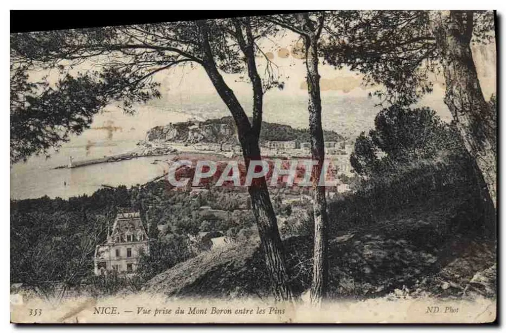 NICE — Ansicht vom Mont Boron zwischen den Kiefern — ND. Phot - Vorderseite