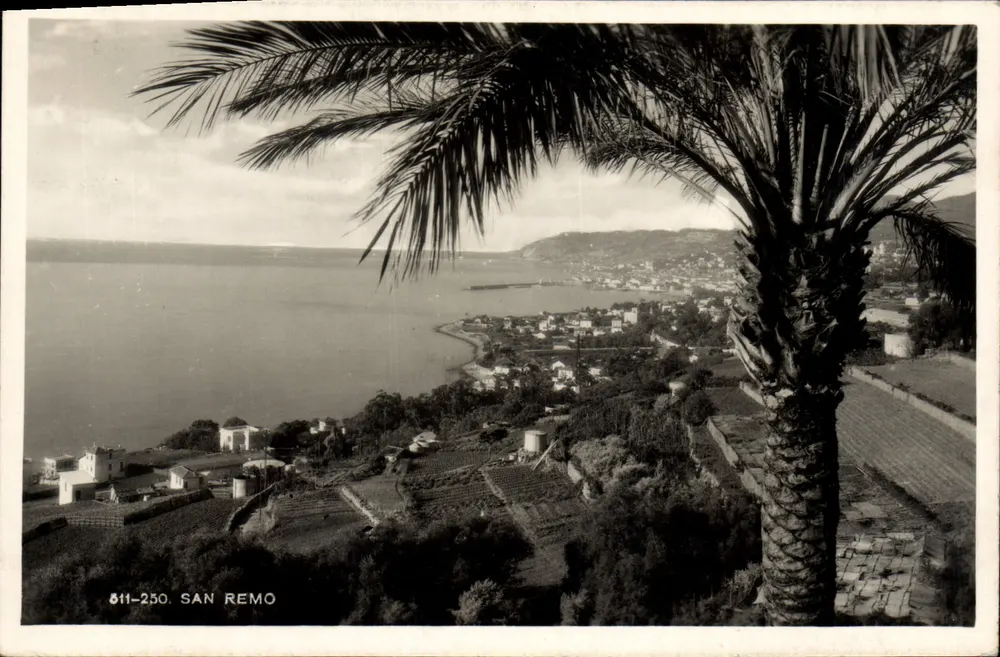 San Remo — vista panorâmica com palmeira — Fotedizioni Vielitalia n° 811-250 - Frente