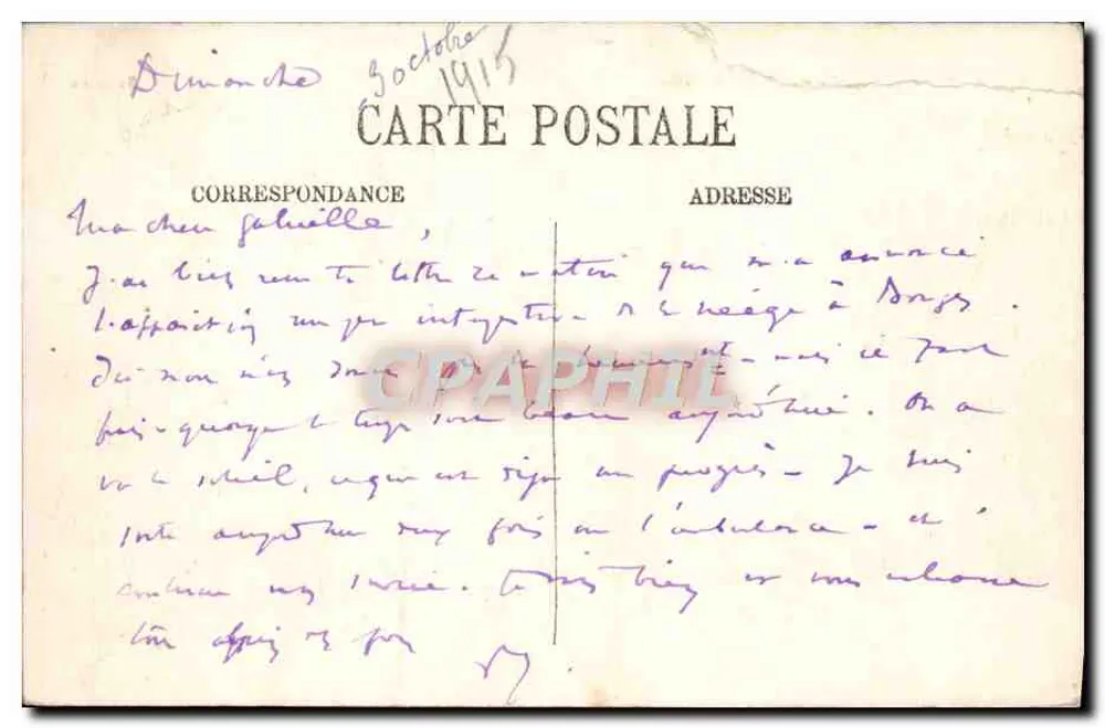 Albi — La Cathédrale Sainte-Cécile — éditeur Selecta, n°1 - Verso