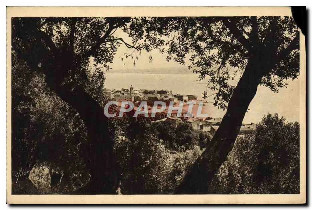 Ajaccio — A Cidade vista através dos Oliveiras — Les Editions d'Art 'VIGNON', Paris - Frente