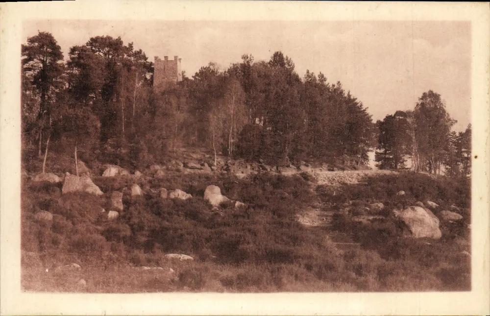 Forêt de Fontainebleau — La Tour — Edition Vincent - Vorderseite