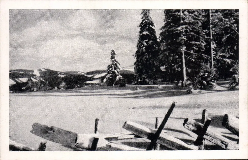 Feldberg - Winter — serie Schwarzwaldfeldberg - 305 - Voorkant