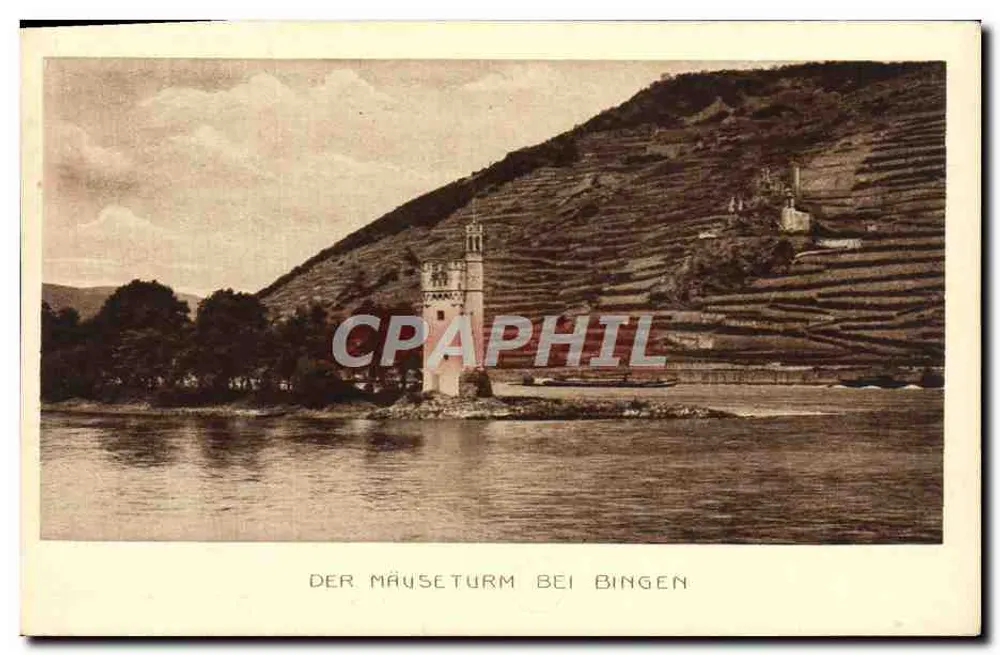 O Mäuseturm em Bingen — vista do rio Reno com colinas de vinhedos em terraços — Fotografia de Bresburg - Frente