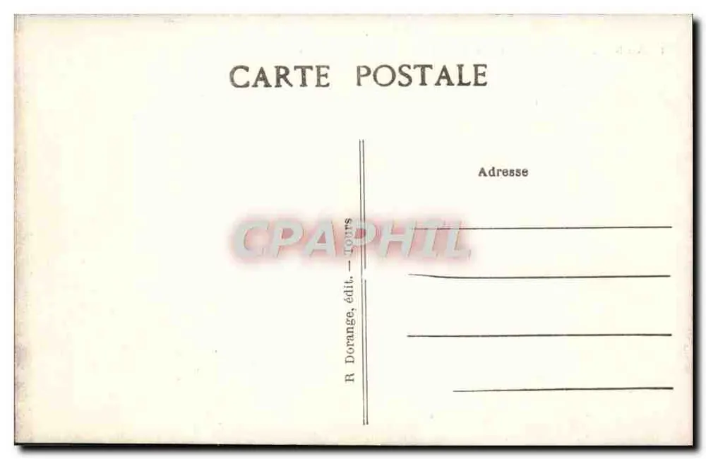 Amboise (Loire-et-Loire) — Le Château (Monument historique) et la Loire — R. D. - Verso