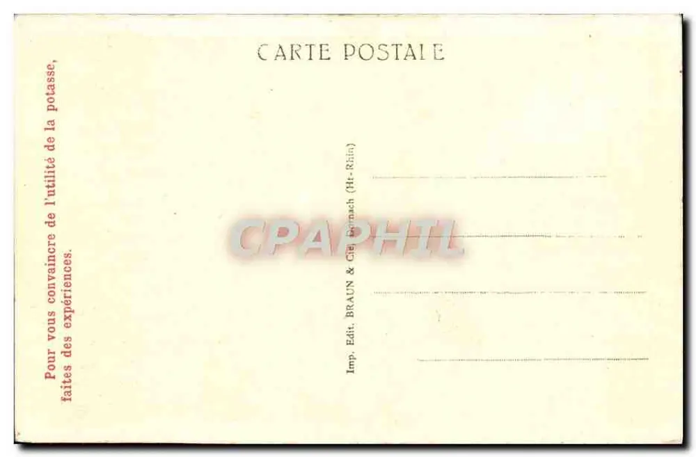 Strasbourg — A Catedral — editor Braun & Cie, n° 2793 - Verso