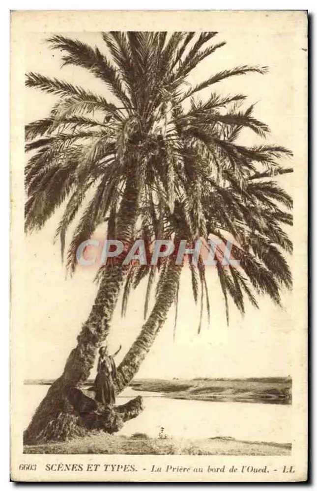 La Prière au bord de l'Oued — SCÈNES ET TYPES, n° 6603, LL - Recto