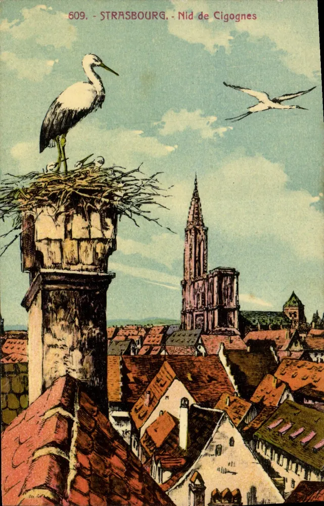 Strasburg - Gniazdo kruków — wydawca anonimowy, nr 609 - Awers