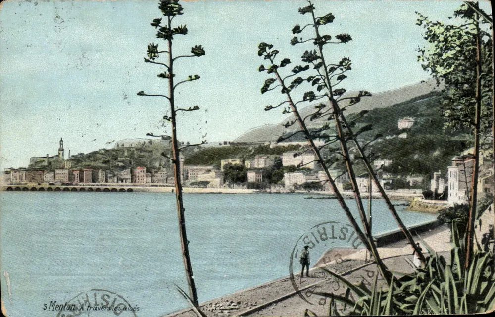 Saint-Méntan — Vista através dos aloés — Editor AQUA-PROTO L.Y. & Cie - Frente