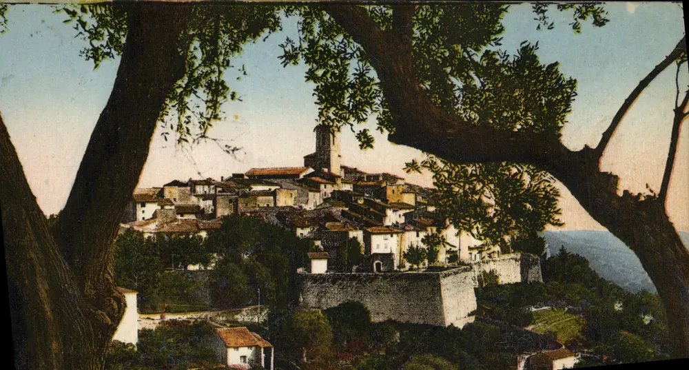 Saint-Paul-de-Vence — Allgemeiner Blick zwischen den Olivenbäumen — Photocoleur A.D.A. St-Roch, Nice (A.M.) - Vorderseite
