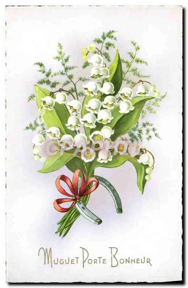 Muguet Porte Bonheur — Blumenstrauß aus Mäuerlingen mit Steigbügel und Band — Verlag nicht sichtbar - Vorderseite