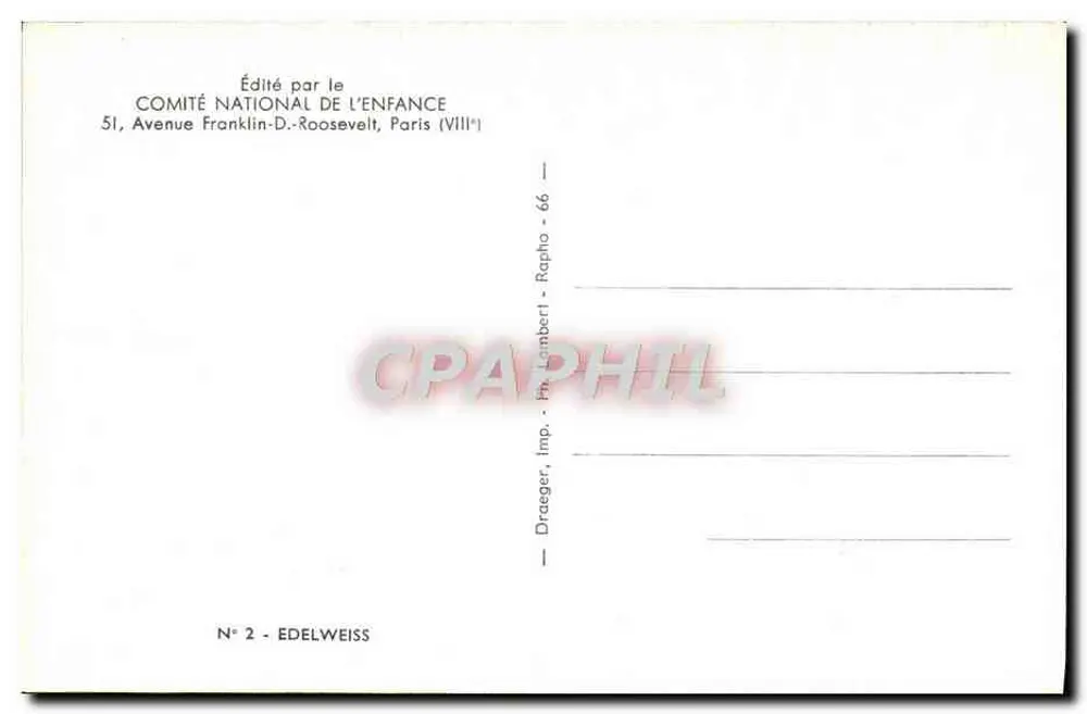 Edelweiss — flores alpinas sobre rocha — Editado pelo Comitê Nacional da Criança, N° 2 - Verso