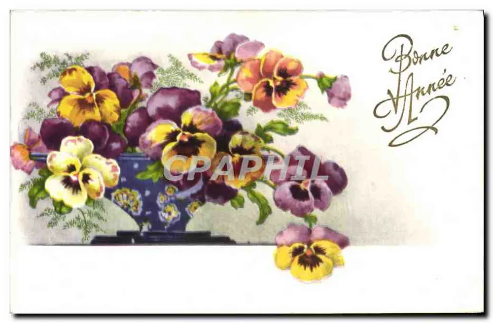 Vase de pensées coloridas — Boa Ano — editor não visível - Frente