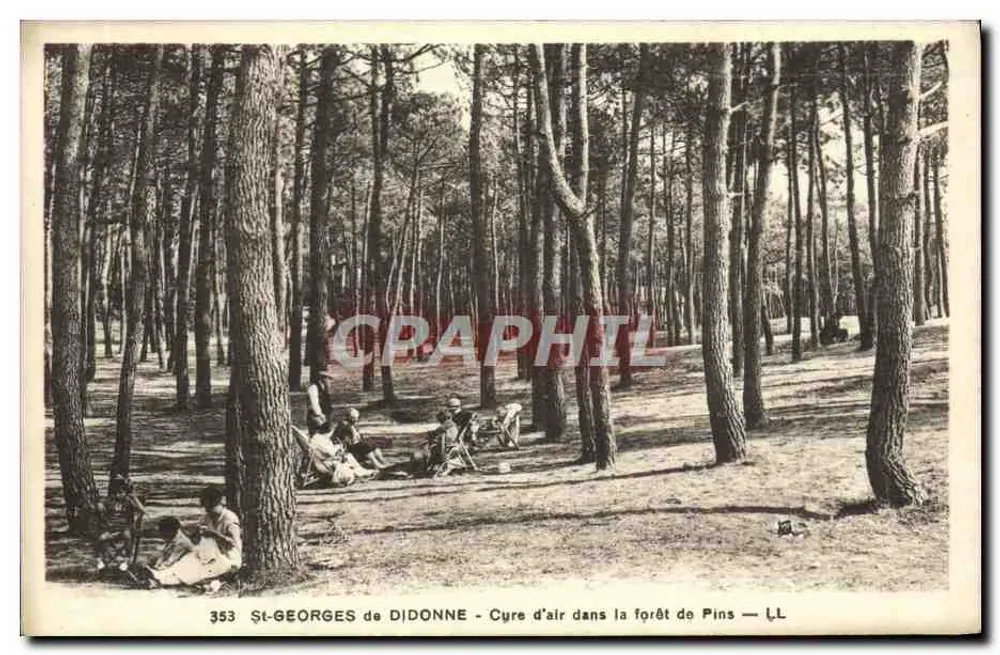 St-Georges de Didonne - Cyre d'air dans la forêt de Pins — LL - Vorderseite