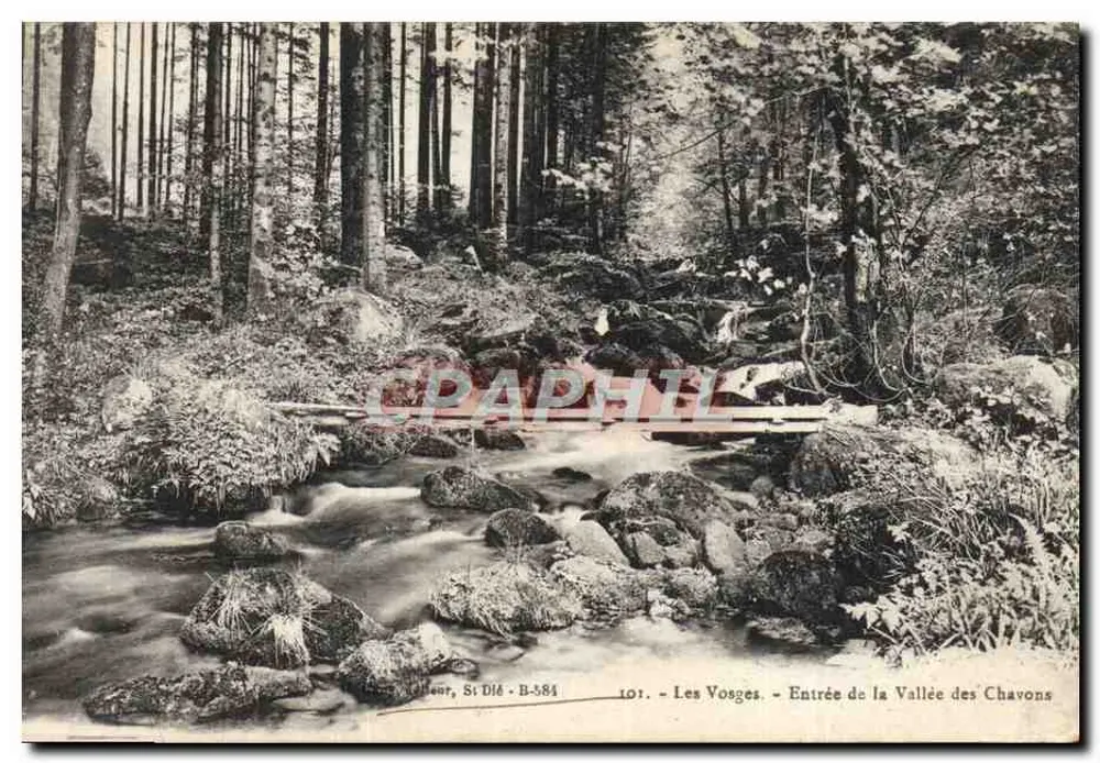 Ingresso della Vallee dei Chavons — Les Vosges — editore St Dié, n° 101 - Recto