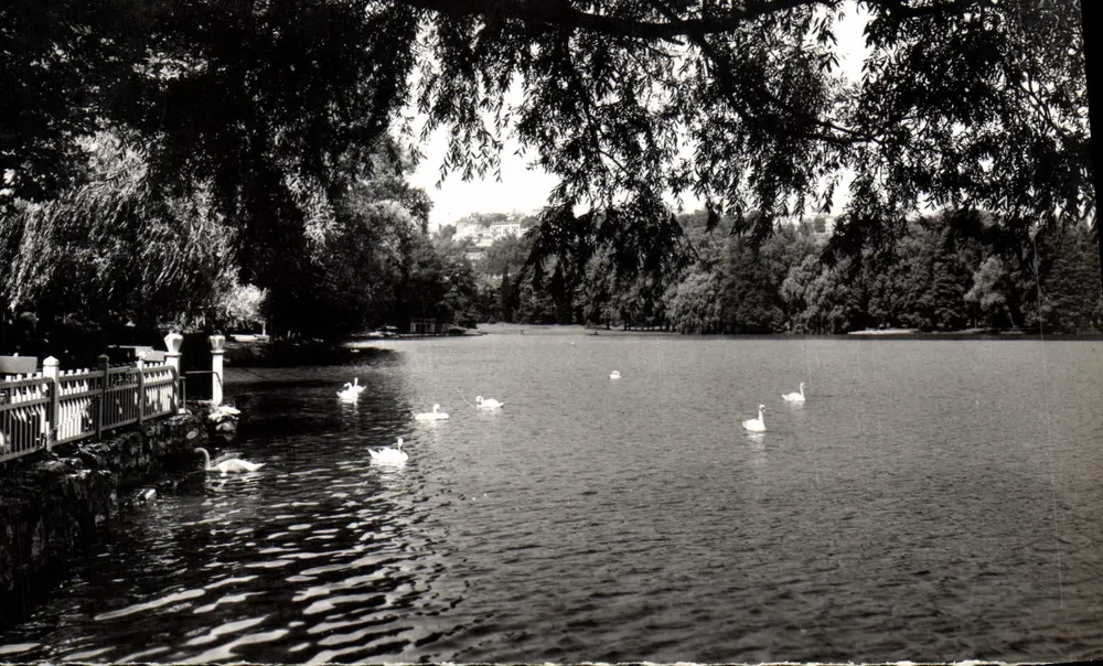 Der See (Parc de la Tête d'Or) — Lyon — Éditions G. Chauveau, n° 250 - Vorderseite