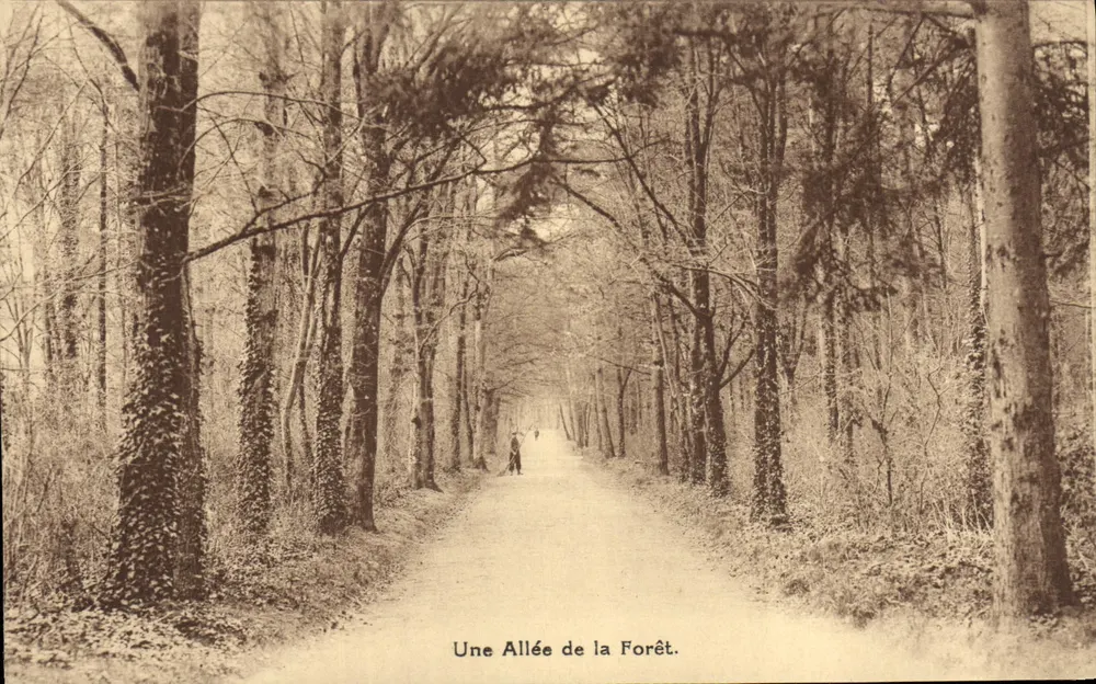 Uma Avenida da Floresta — Fontainebleau — Edições Universitárias Tourte e Pelitia - Levallois-Paris - Frente
