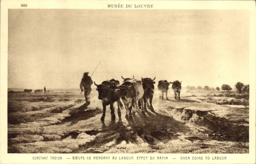Ochsen auf dem Weg zum Pflügen, Morgeneffekt — Constant Troyon — Musée du Louvre - Vorderseite