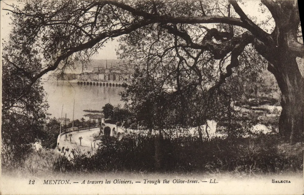 Menton — Através dos Oliveiras — LL. — Selecta - Frente