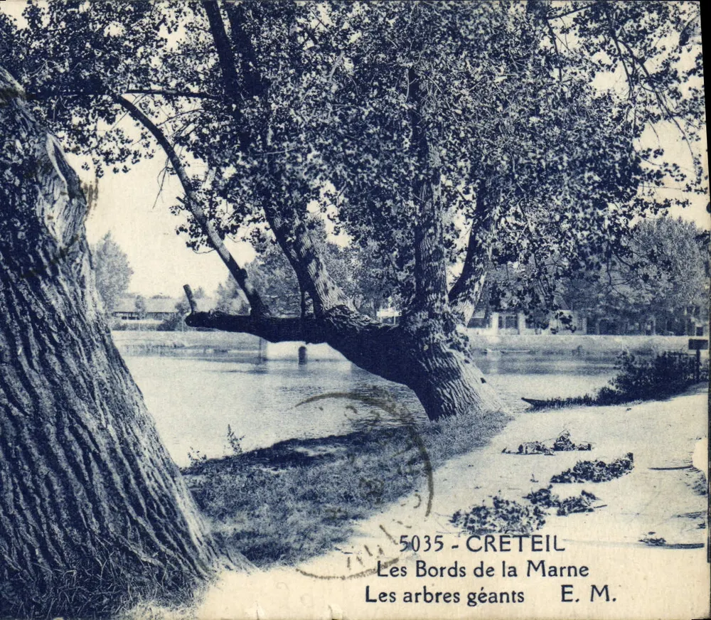 Les Bords de la Marne — Les arbres géants — E. M. — n° 5035 - Recto