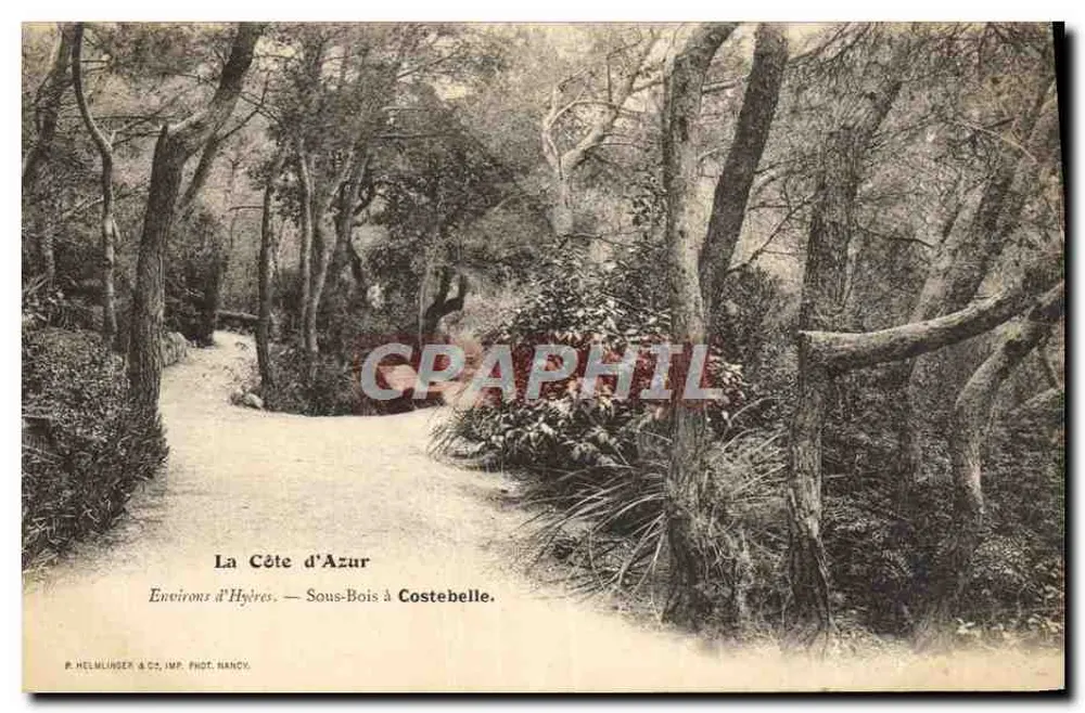 Sous-Bois à Costebelle — Environs d'Hyères — P. Helmlinger & Cie, Imp. Phot. Nancy - Frente
