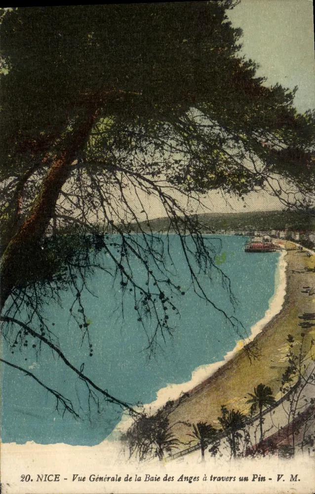 Nice - Allgemeiner Blick auf die Bucht der Engel durch eine Kiefer - V. M. n°20 - Vorderseite