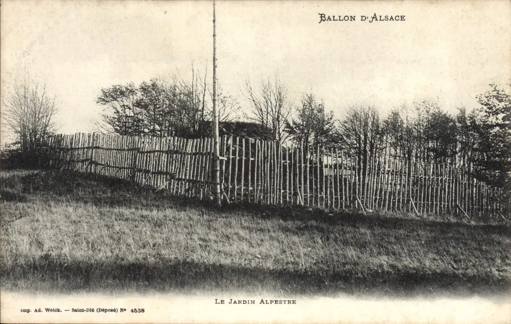 Der Alpinen Garten — Ballon d'Alsace — imp. Ad. Weick, Saint-Dié (Deposited) Nr. 4538 - Vorderseite