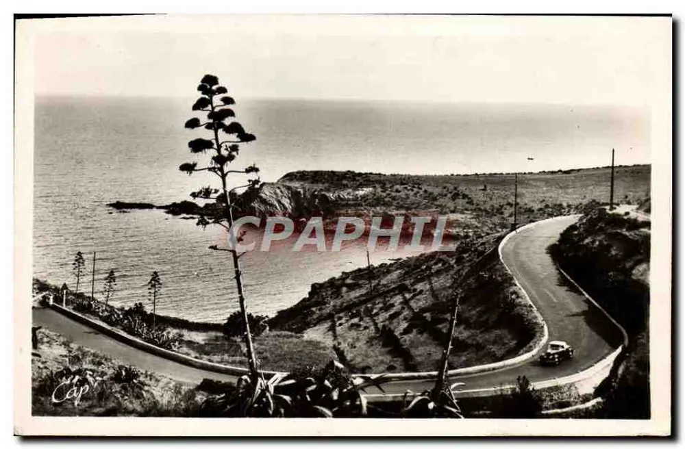 Cap Fréhel — visão da costa — editor La Côte Vermeille, n°66 - Frente