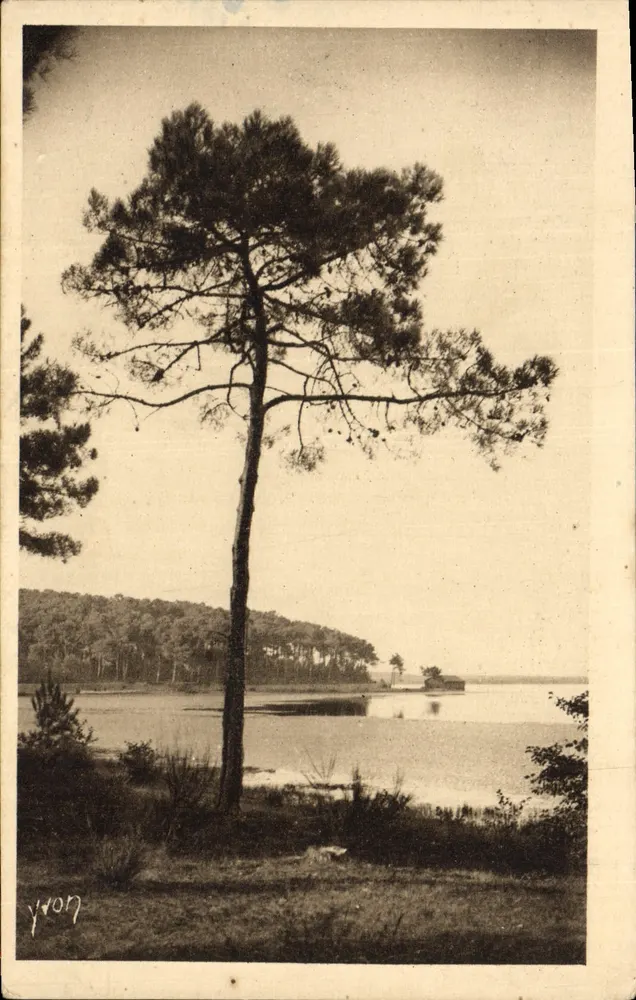 O Lago de Aureilhan — As Landas da Gasconha — Edição de Arte YVON - Frente
