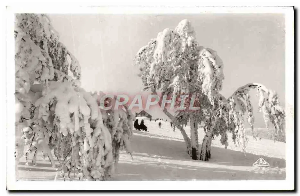 Paysage hivernal enneigé — éditeur C.A.B. — n°38 - Recto