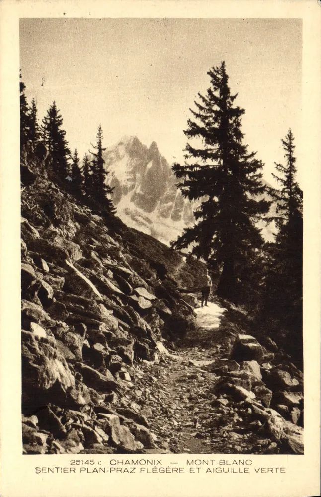 Chamonix — Mont Blanc und Aiguille Verte — Plan-Praz Flégère-Weg — n° 25145 - Vorderseite