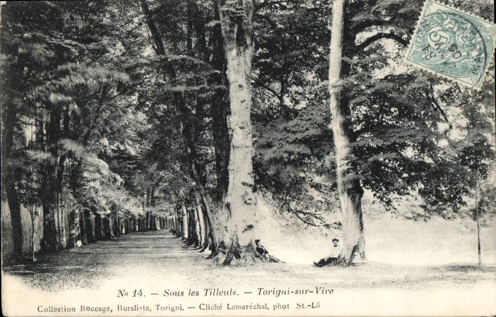Torigni-sur-Vire — Onder de esdoorns — Cliché Lemaréchal, foto St-Lô - Voorkant