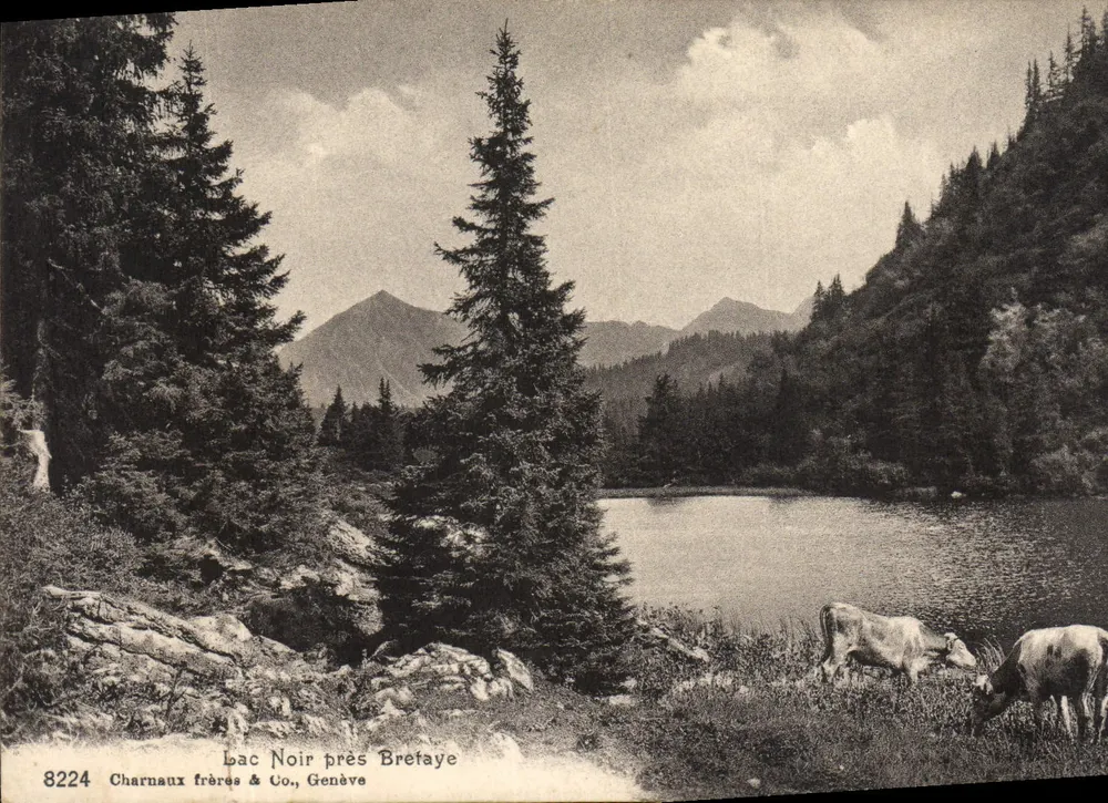 Lac Noir near Bretaye — lake view with cows — Charnaux frères & Co., Geneva, n° 8224 - Front